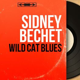 Album cover of Wild Cat Blues (Mono Version)