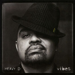 Album cover of Vibes (Bonus Track Version)