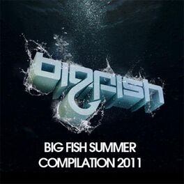 Album cover of Big Fish Summer Compilation
