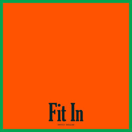 Album cover of Fit In