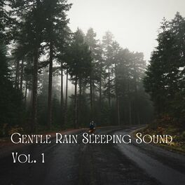 Album cover of Gentle Rain Sleeping Sound Vol. 1 - 2 Hours