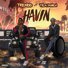 Album cover of Havin