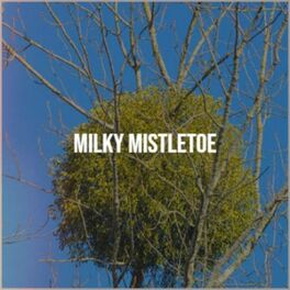 Album cover of Milky Mistletoe