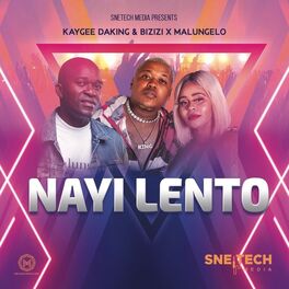 Album cover of Nayi Lento