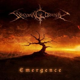 Album cover of Emergence