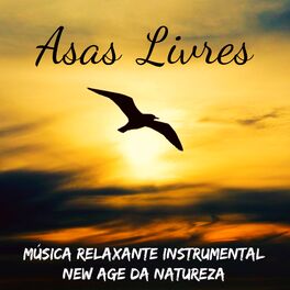 Album cover of Asas Livres - Música Relaxante Instrumental New Age da Natureza para Equilibrar Chakras Ser Mais Feliz Aula de Yoga e Manter A Cal
