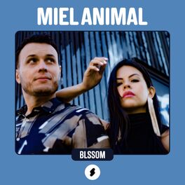 Album picture of Shock Sessions: Miel Animal