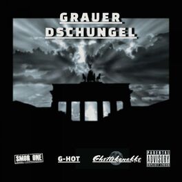 Album cover of Grauer Dschungle