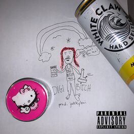 Album cover of Digibitch