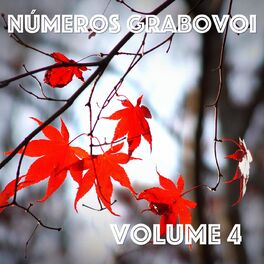 Album cover of Números Grabovoi, Vol. 4