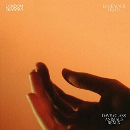 Album cover of Lose Your Head (Dave Glass Animals Remix)