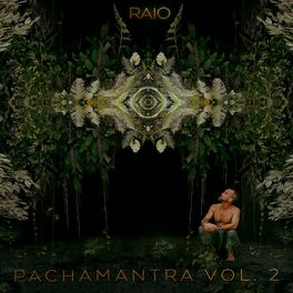Album cover of Pachamantra, Vol. 2