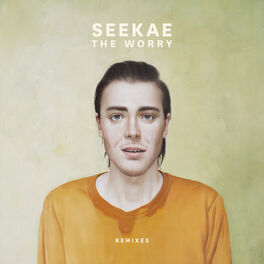 Album cover of The Worry (Remixes)