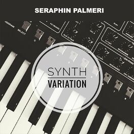 Album cover of Synth Variation