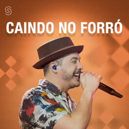 Album cover of Caindo No Forró - 2017 (Ao Vivo)