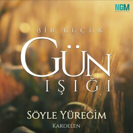Album cover of Söyle Yüreğim