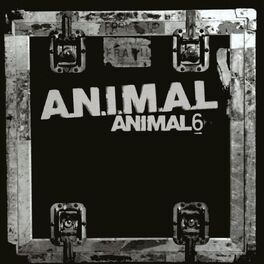 Album cover of 6 (Animal)