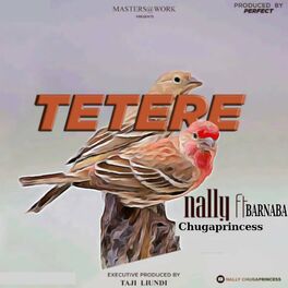 Album cover of TETERE