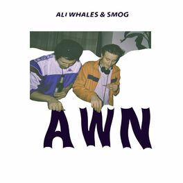 Album cover of AWN
