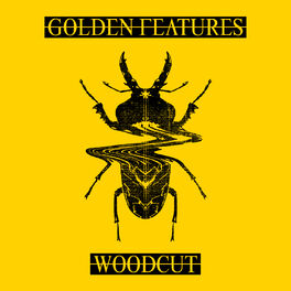 Album cover of Woodcut (feat. Rromarin) (Remixes)