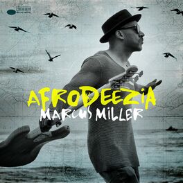 Album cover of Afrodeezia