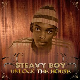 Album cover of Unlock the House