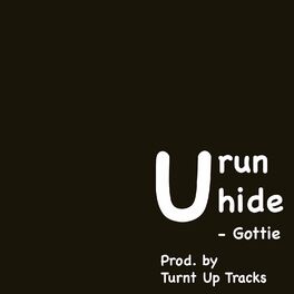 Album cover of U Run U Hide