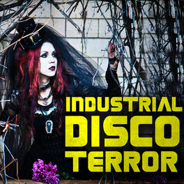 Album cover of Industrial Disco Terror