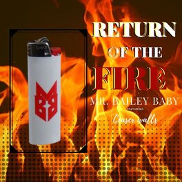 Album cover of Return of the Fire