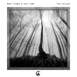 Album cover of The Fallout