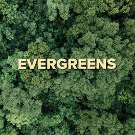 Album cover of Evergreens