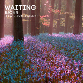 Album cover of Waiting