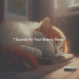 Album cover of * Sounds for Your Beauty Sleep *