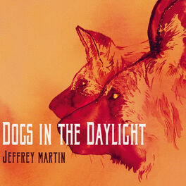 Album cover of Dogs in the Daylight