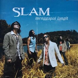 Album cover of Menggapai Langit