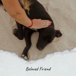 Album cover of Beloved Friend