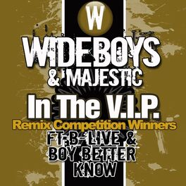 Album cover of In the V.I.P. (Remix Competition Winners)