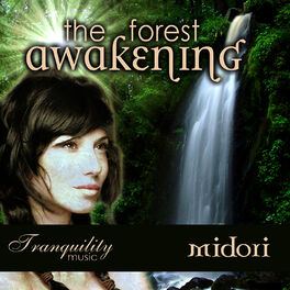 Album cover of The Forest Awakening