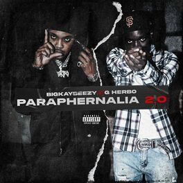 Album cover of Paraphernalia 2.0