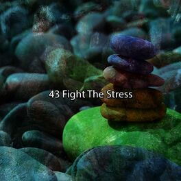 Album cover of 43 Fight The Stress