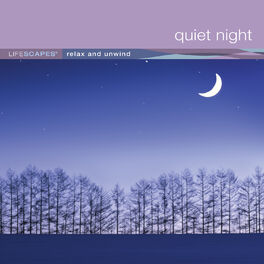 Album cover of Quiet Night