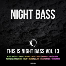 Album cover of This is Night Bass: Vol. 13