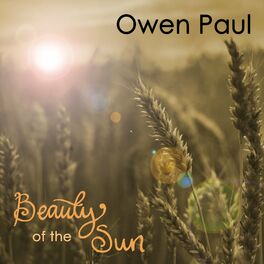 Album cover of Beauty Of The Sun