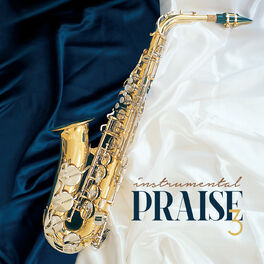 Album cover of Instrumental Praise 3