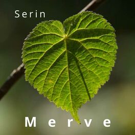 Album cover of Serin