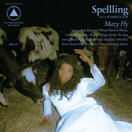 Album cover of Mazy Fly