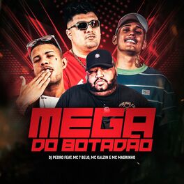 Album cover of Mega do Botadão
