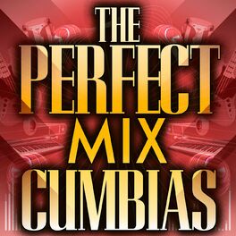 Album cover of The Perfect Mix - Cumbias