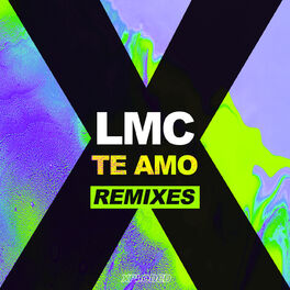 Album cover of Te Amo (Remix)