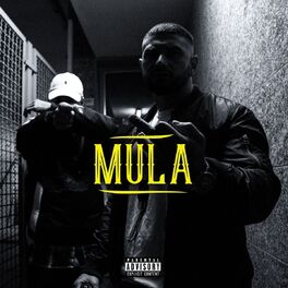 Album cover of Mula